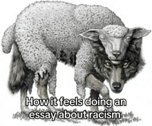 a drawing of a wolf and a sheep with the words how it feels doing an essay about racism below it