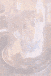 a close up of a blender with a picture of a girl inside of it .