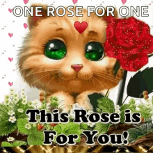Cat Flower GIF - Cat Flower This Rose Is For You GIFs