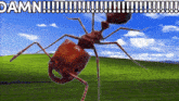 Damn Ant GIF - Damn Ant GIFs