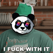 a panda wearing sunglasses and a green shirt that says sidewinder