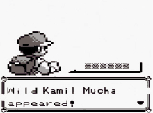 Kamil Mucha Pokemon GIF - Kamil Mucha Pokemon GIFs