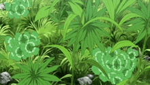 a bunch of green plants with a pattern of circles on them