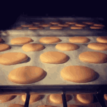 Pastry Cakes GIF - Pastry Cakes Cookies GIFs