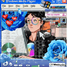 a computer screen with the words windows media player written on it