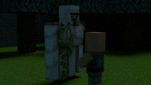 a minecraft character is standing in a field