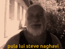 Steve Naghavi Vasile Traian GIF - Steve Naghavi Vasile Traian Maistrul GIFs