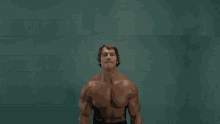 Arnold Schwarzenegger GIF - Sweatface GIFs