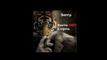 a picture of a tiger smoking a cigar with the words " sorry you 're not a sigma "