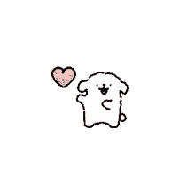 maltese white dog cute love heart