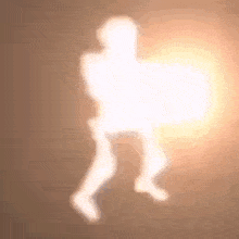 a silhouette of a person holding a shield in front of a light .