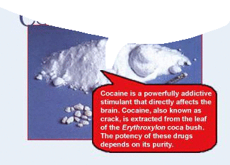 Text Bubble Cocaine Sticker - Text Bubble Cocaine Stickers