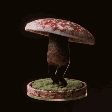 bog mushroom