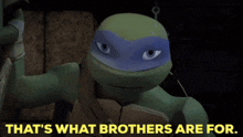 tmnt leonardo thats what brothers are for brothers that is what brothers are for
