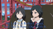 Anime Torture GIF - Anime Torture Roller Coaster GIFs