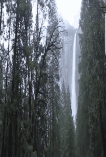 Bridalveil Fall GIF - Bridalveil Fall Yosemite GIFs