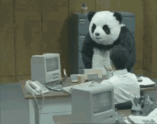 Panda Flip Desk GIF - Panda Flip Desk Freak Out GIFs