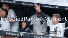 Yankees Cheering GIF - Yankees Cheering Hoodiejpaxton Moment GIFs