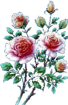 Csodás Rózsa Színes Ko Sticker - Csodás Rózsa Színes Ko Flowers Stickers