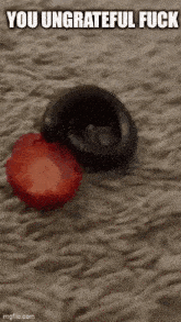 a snake and a strawberry are laying on a carpet .