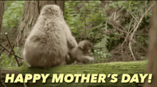Happy Mothers Day Mother And Child GIF - Happy Mothers Day Mother And Child Monkey GIFs