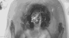 Under Water Screaming GIF - Under Water Screaming GIFs