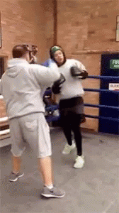 harry styles boxing gif