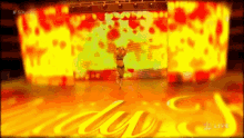 a woman is standing on a stage in front of a large screen that says ' sdl ' on it .