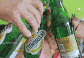 a bottle of tuborg strong beer is being poured into a glass