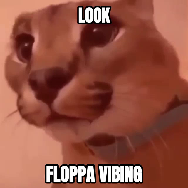 Floppa Gaming on X: Floppa friday Pog pls spam floppa memes to