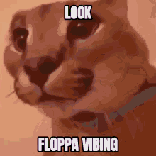 Big Floppa Vibing GIF - Big Floppa Vibing Floppa Vibing GIFs