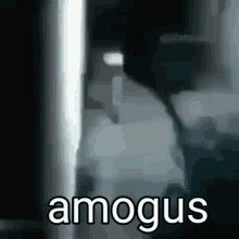 Amogus Among Us GIF