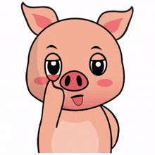 animal pig piggy cute tease