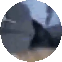 a blurred image of a person in a circle with a blue sky in the background