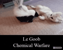 Le Goob Skunk GIF - Le Goob Skunk Chemical GIFs