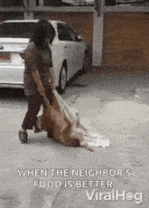 a woman is carrying a dead dog in a bag on a sidewalk .