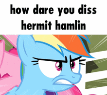 a cartoon of a pony with the words how dare you diss hermit hamlin above it