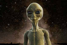 a gray alien standing in front of a starry sky