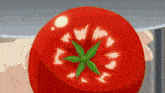 a person is holding a tomato in their hand