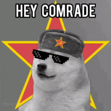Hey Comrade GIF
