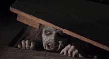 Evil Dead Book Of The Dead GIF - Evil Dead Book Of The Dead Laughing GIFs