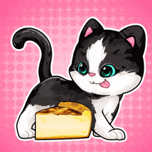 Playpawsum Cat GIF - Playpawsum Pawsum Cat GIFs