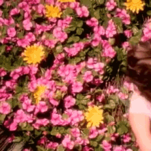 Martina Mc Bride Flowers GIF - Martina Mc Bride Flowers My Baby Loves Me GIFs