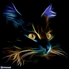 Cat Colorful GIF - Cat Colorful Art GIFs