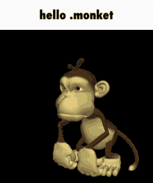 Hello Monkey Monket GIF