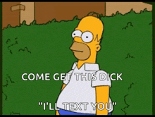 homer simpson is standing in the grass and saying `` come get this dick '' and '' i 'll text you '' .