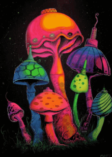 Mushrooms Trippy GIF