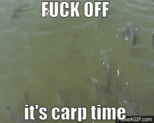 Carp Fishing GIF - Carp Fishing Fuck Off GIFs