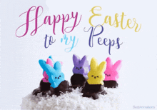 Happy Easter Funny GIF - Happy Easter Funny To My Peeps GIFs