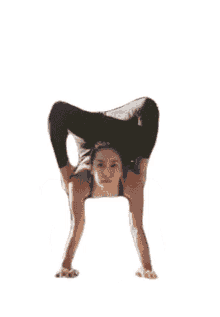 contortionist bend pose flexible contort